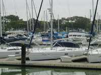 Hunter 356