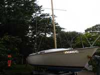 <B>Paceship</B> PY23