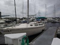 1980 Jacksonville Florida 30 Catalina Yachts Tall Rig
