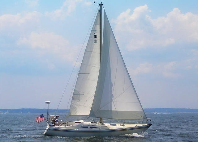 Contest Sailboats