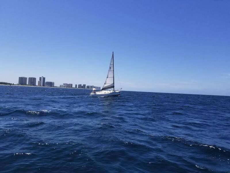 1984 Freedomtillotson 25