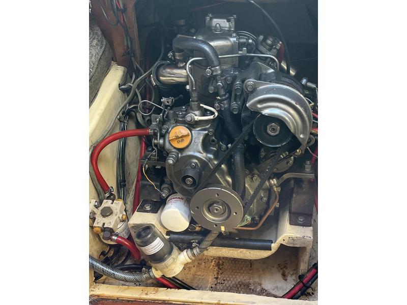 1984 Freedomtillotson 25