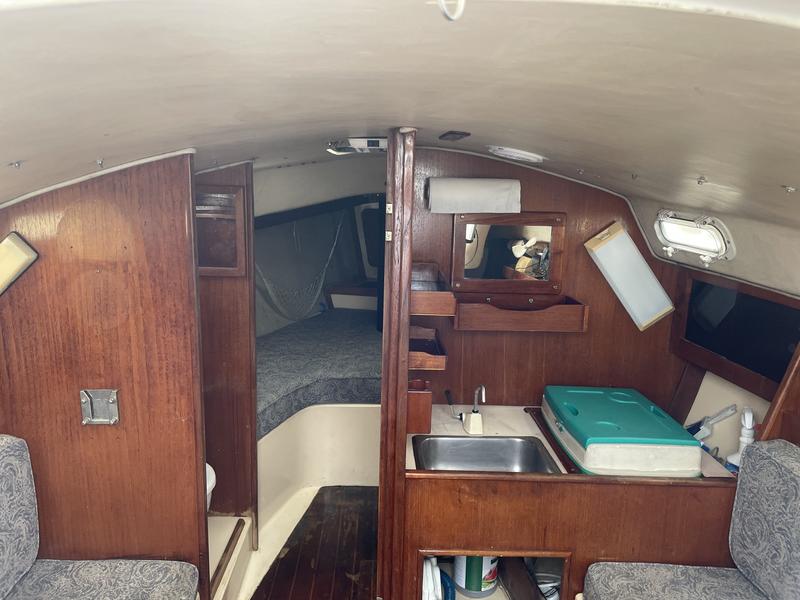 1984 Freedomtillotson 25