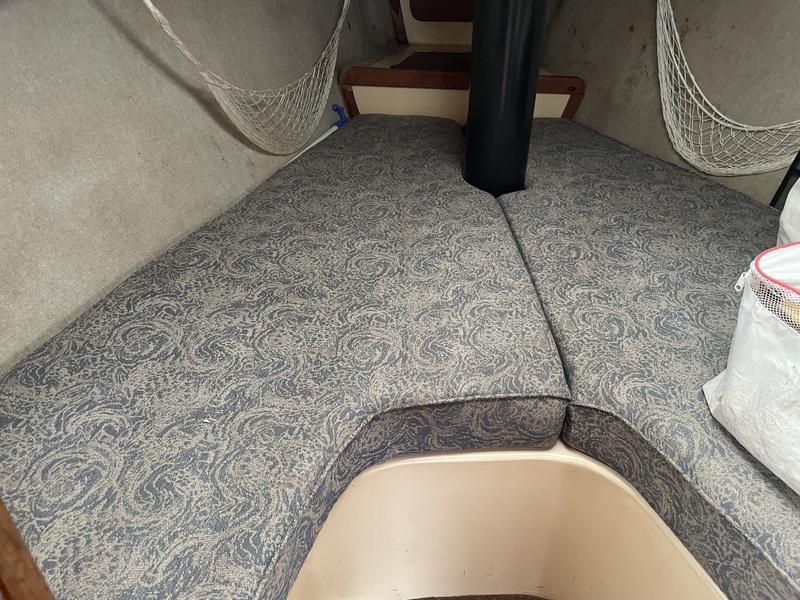 1984 Freedomtillotson 25