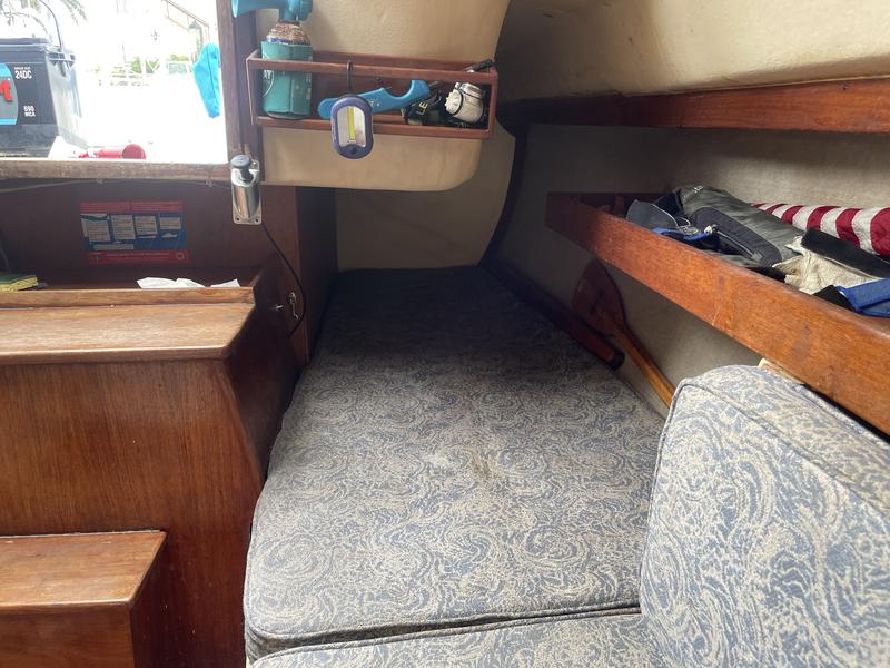 1984 Freedomtillotson 25