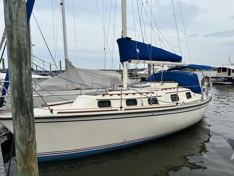allmand sailboat for sale