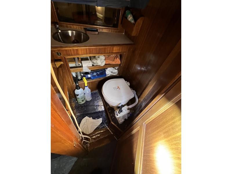 Islander 29