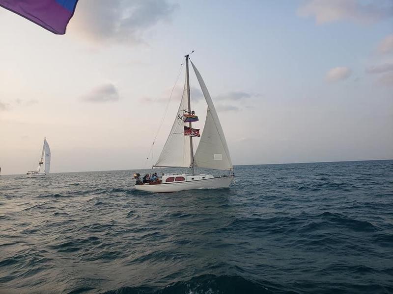 Islander 29