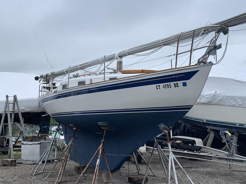 Contessa 26