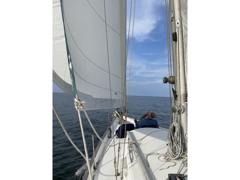 1978 Morgan Yatchs 382 located in New York for sale