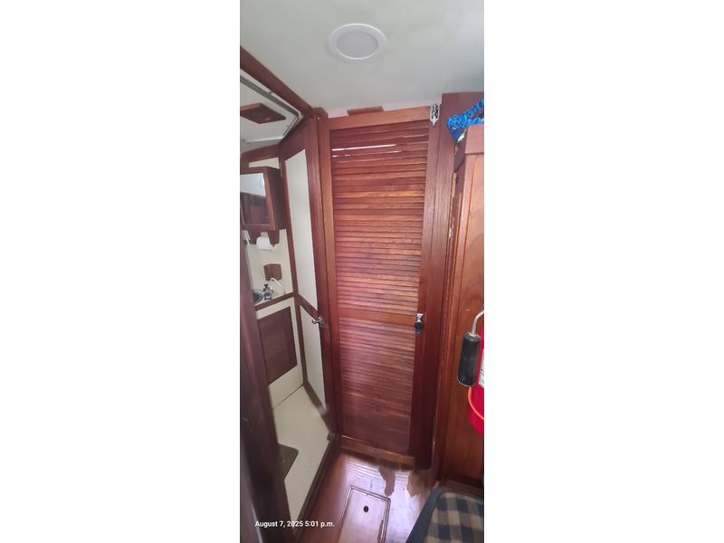 Tartan T37