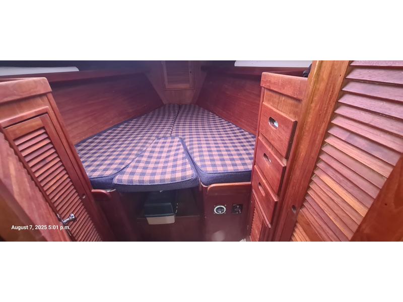 Tartan T37