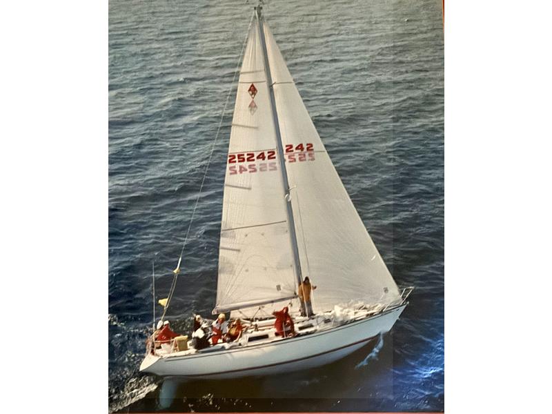 catalina 38