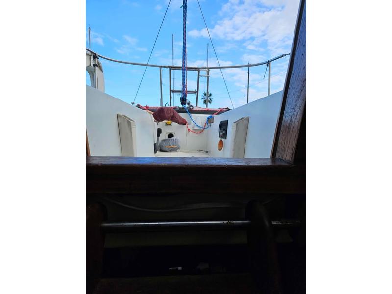 Tartan 30