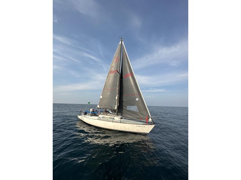 Santa Cruz SC 27