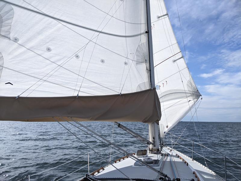 Freedom F 38