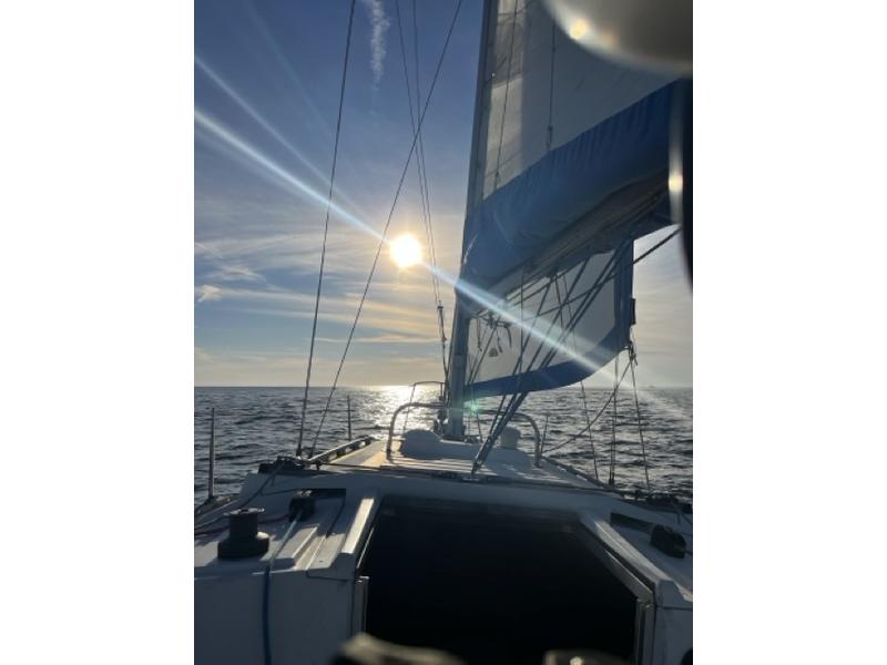 Hunter 31