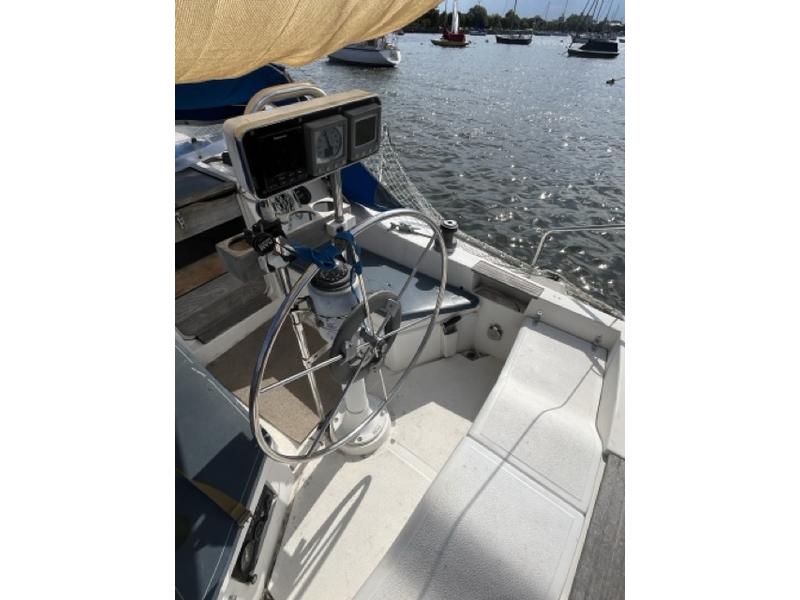 Hunter 31