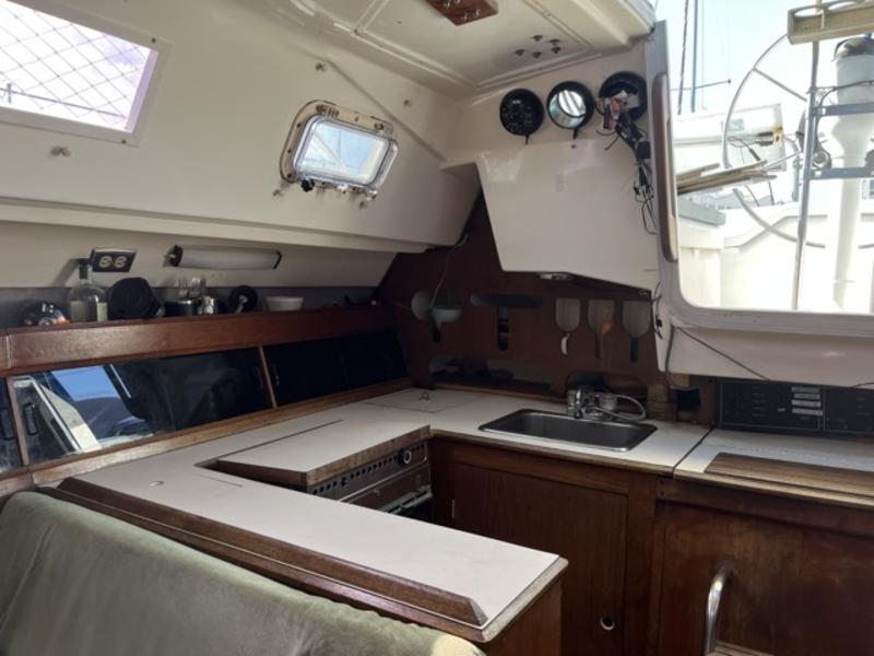 Hunter 31