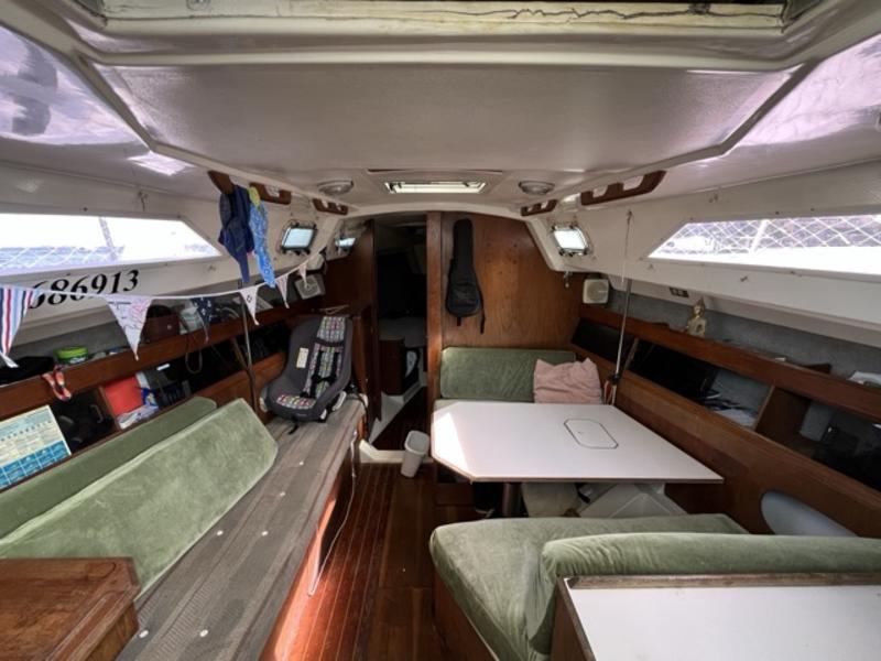 Hunter 31