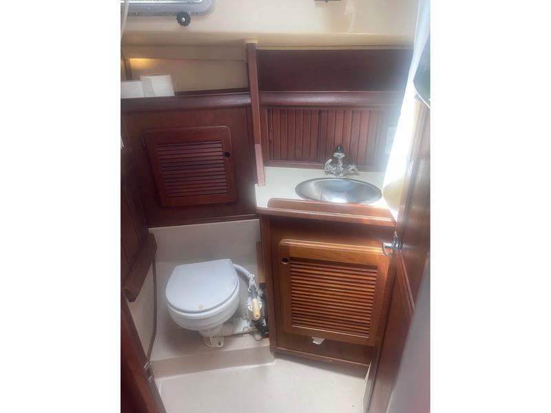 Island Packet 31