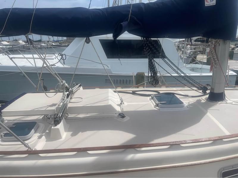 Island Packet 31