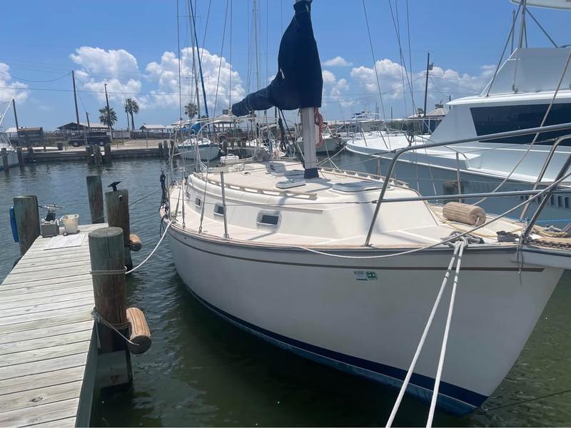 Island Packet 31