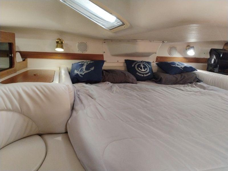 Catalina 380
