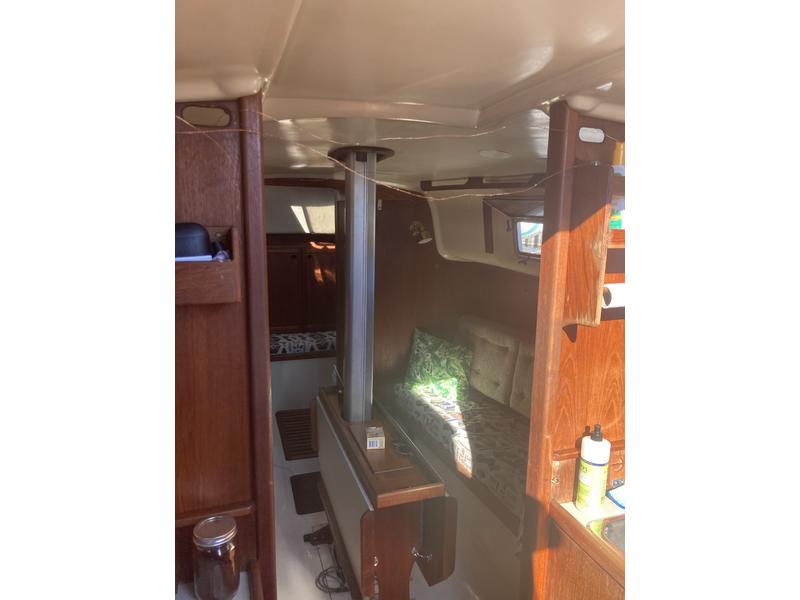 Bayfield 29