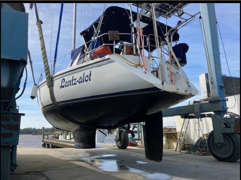 Catalina 42 