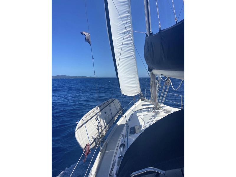 Hunter 336