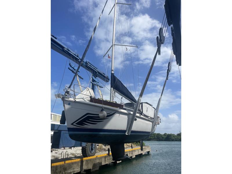 Hunter 336