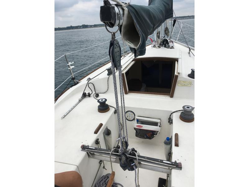 Tillotson-Pearson J24