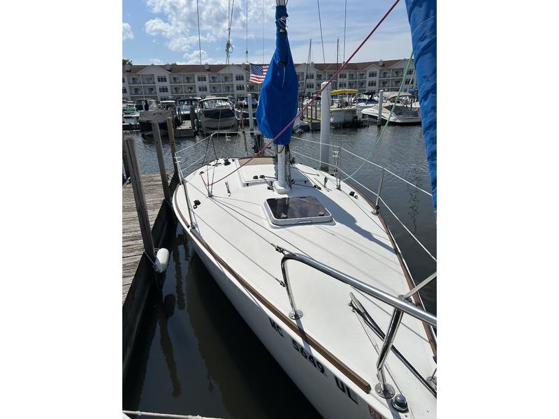 Tillotson-Pearson J24