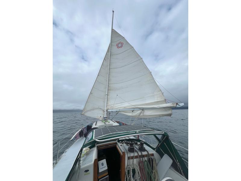 Tillotson Pearson Freedom 36