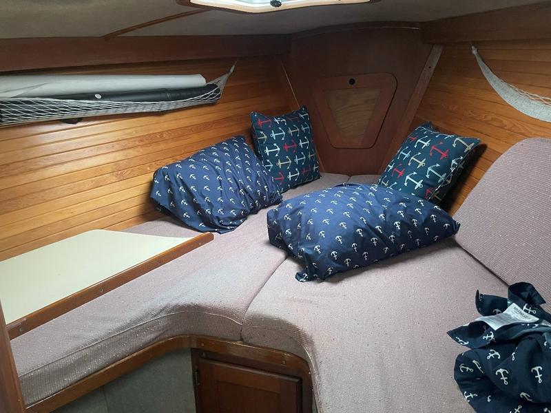 Tillotson Pearson Freedom 36