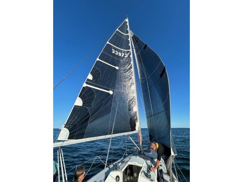 Chislett's Boating Mirage 338