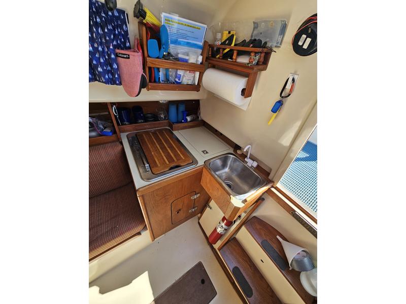 Bayfield 25