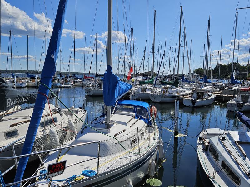 Bayfield 25