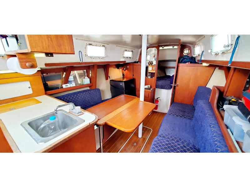 Hunter 33