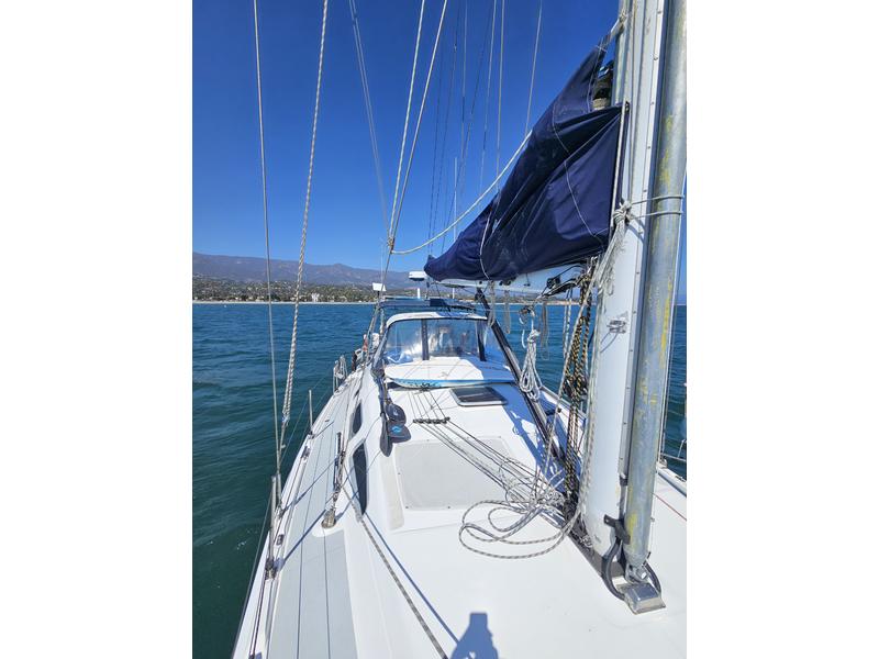 Hunter Aft Cockpit 41