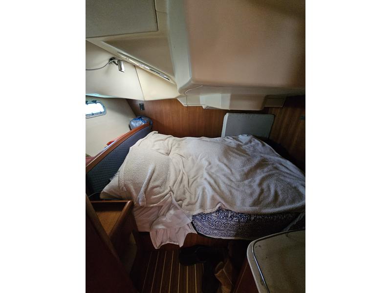 Hunter Aft Cockpit 41