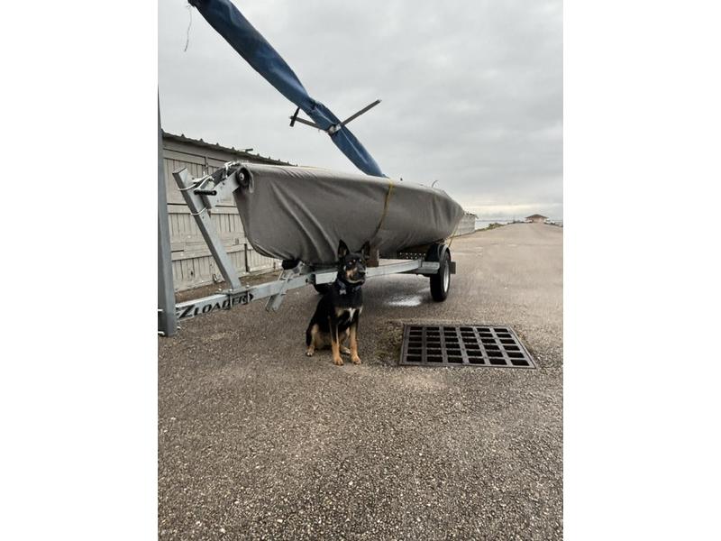 2019 Zim Sailing C420 8738 located in Texas for sale