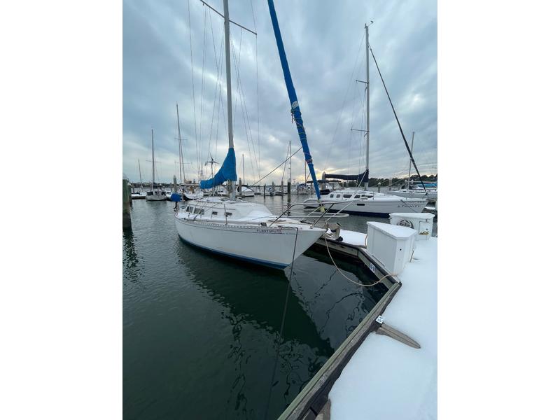 1982 Islander Bahama located in South Carolina for sale