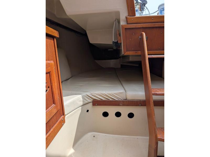 Catalina Tall Rig