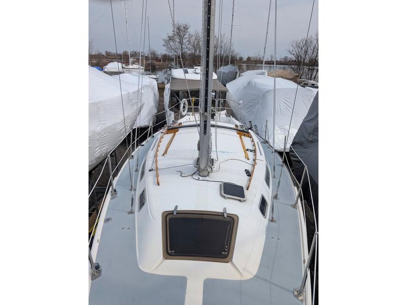 Catalina Tall Rig