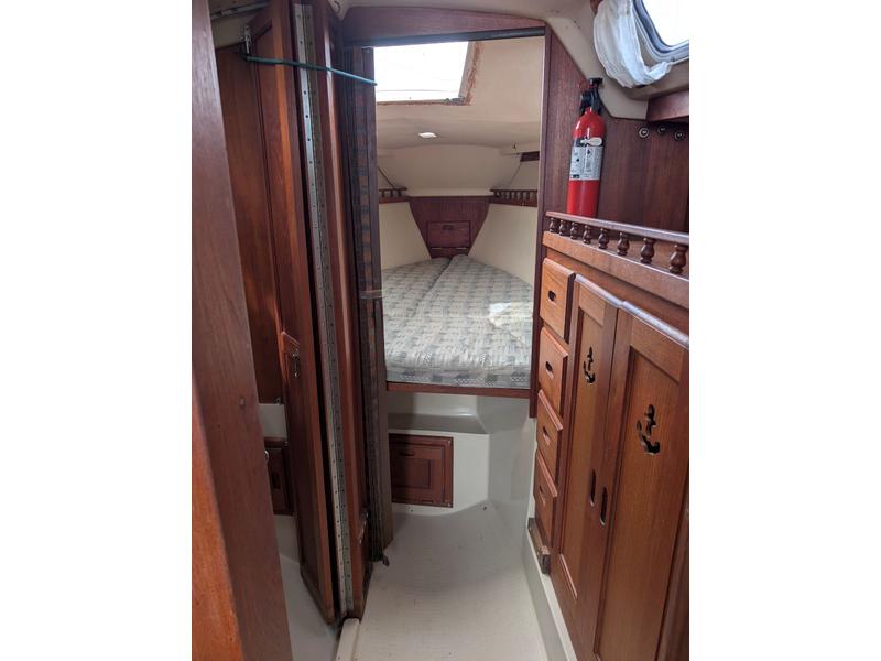 Catalina Tall Rig