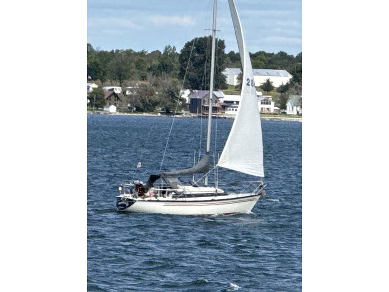 1982 Dufour 3800 located in New York for sale
