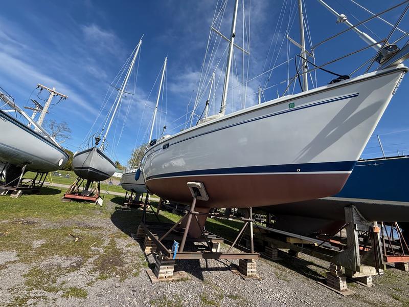 1999 Catalina 320 located in New York for sale