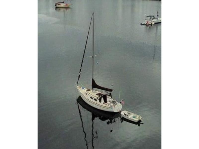 1979 Newport 30 MkII located in Washington for sale